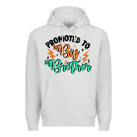 Dove Grey promoted to big brother Premium Hoodie - Artiststas