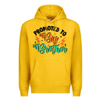 Lemon promoted to big brother Premium Hoodie - Artiststas