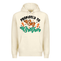 Sandshell promoted to big brother Premium Hoodie - Artiststas