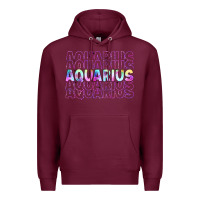 Burgundy aquarius Premium Hoodie - Artiststas