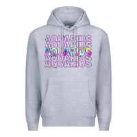 Heather Grey aquarius Premium Hoodie - Artiststas