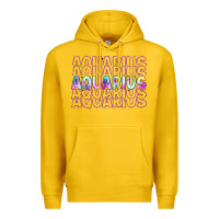 Lemon aquarius Premium Hoodie - Artiststas