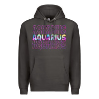 Smoke aquarius Premium Hoodie - Artiststas