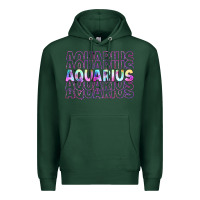 Sports Green aquarius Premium Hoodie - Artiststas