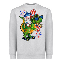 4th Of July T-rex Heavyweight Sweatshirt | Teevron