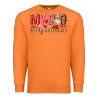 Carrot my dog is my valentine Premium Sweatshirt - NancyCooperArtShop