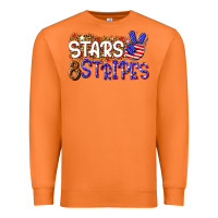 Carrot stars and stripes Premium Sweatshirt - NancyCooperArtShop