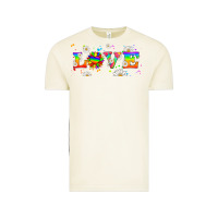 Vintage Arctic lgbtq love libbey glass Vintage Tee - HRA Design Shop