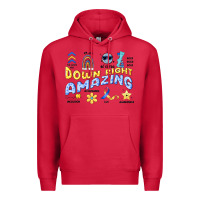 Cardinal down right amazing Premium Hoodie - Artiststas