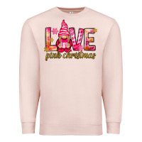 Pale Pink love pink christmas gnome Premium Sweatshirt - NancyCooperArtShop