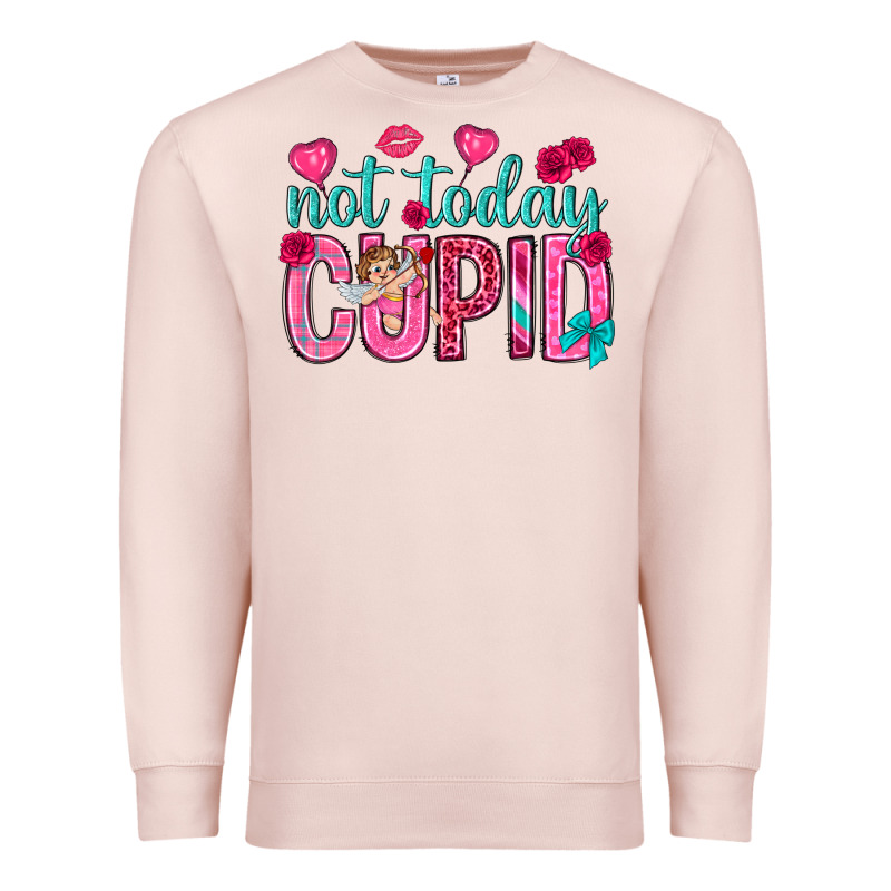 Not Today Cupid Premium Sweatshirt by NancyCooperArtShop | Teevron