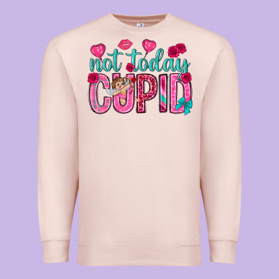 Not Today Cupid Premium Sweatshirt Designed By Nancycooperartshop