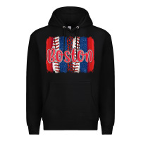 Black boston baseball team spirit brushstrokes Premium Hoodie - Artiststas