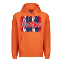 Carrot boston baseball team spirit brushstrokes Premium Hoodie - Artiststas