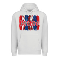 Dove Grey boston baseball team spirit brushstrokes Premium Hoodie - Artiststas