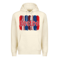 Sandshell boston baseball team spirit brushstrokes Premium Hoodie - Artiststas