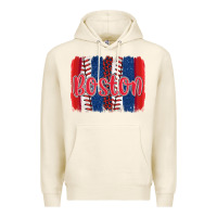 Tofu boston baseball team spirit brushstrokes Premium Hoodie - Artiststas