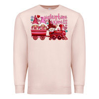 Pale Pink valentines express with gnomies Premium Sweatshirt - NancyCooperArtShop