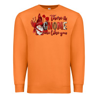 Carrot there is gnome one like you Premium Sweatshirt - NancyCooperArtShop