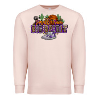 Pale Pink small town big spirit basketball Premium Sweatshirt - NancyCooperArtShop