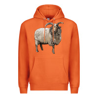 Carrot navajo churro sheep Premium Hoodie - LillyAllenDesigns
