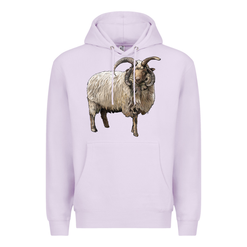 Navajo Churro Sheep Premium Hoodie by LillyAllenDesigns | Teevron