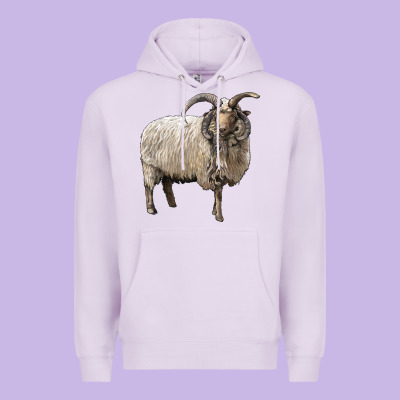 Navajo Churro Sheep Premium Hoodie Designed By Lillyallendesigns