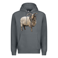 Rock navajo churro sheep Premium Hoodie - LillyAllenDesigns