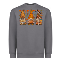 Storm fall gnome Heavyweight Sweatshirt - HRA Design Shop