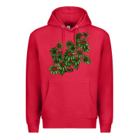 Cardinal Botanical Schefflera Illustrations Premium Hoodie - LillyAllenDesigns