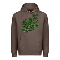 Coffee Botanical Schefflera Illustrations Premium Hoodie - LillyAllenDesigns