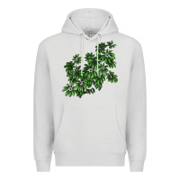 Dove Grey Botanical Schefflera Illustrations Premium Hoodie - LillyAllenDesigns