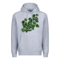 Heather Grey Botanical Schefflera Illustrations Premium Hoodie - LillyAllenDesigns