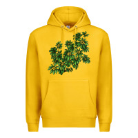 Lemon Botanical Schefflera Illustrations Premium Hoodie - LillyAllenDesigns