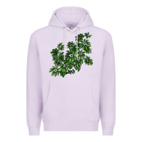 Lilac Botanical Schefflera Illustrations Premium Hoodie - LillyAllenDesigns