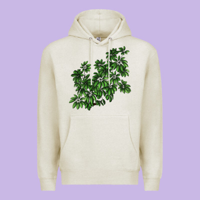 Botanical Schefflera Illustrations Premium Hoodie Designed By Lillyallendesigns