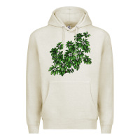 Oatmeal Heather Botanical Schefflera Illustrations Premium Hoodie - LillyAllenDesigns