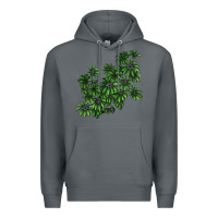 Rock Botanical Schefflera Illustrations Premium Hoodie - LillyAllenDesigns