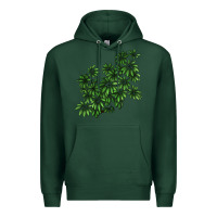 Sports Green Botanical Schefflera Illustrations Premium Hoodie - LillyAllenDesigns