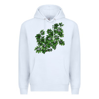 White Botanical Schefflera Illustrations Premium Hoodie - LillyAllenDesigns