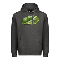 Charcoal Heather Golden Pothos Leaf Premium Hoodie - LillyAllenDesigns