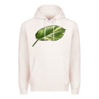 Pale Pink Golden Pothos Leaf Premium Hoodie - LillyAllenDesigns