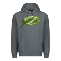 Rock Golden Pothos Leaf Premium Hoodie - LillyAllenDesigns