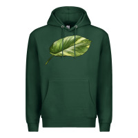 Sports Green Golden Pothos Leaf Premium Hoodie - LillyAllenDesigns