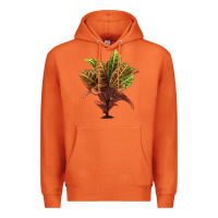 Carrot Croton Premium Hoodie - LillyAllenDesigns