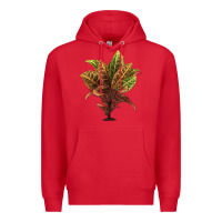 Red Croton Premium Hoodie - LillyAllenDesigns