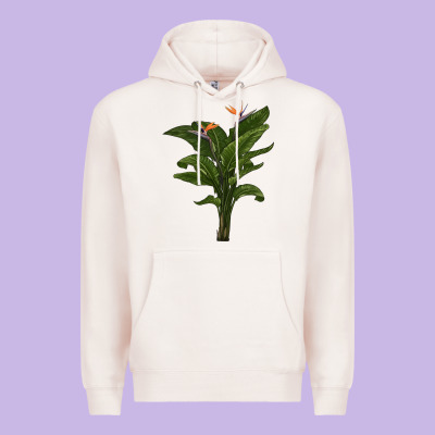 The Bird Of Paradise Premium Hoodie Designed By Lillyallendesigns
