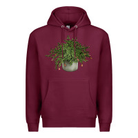 Burgundy Dwarf Pomegranate Tree Illustrations Premium Hoodie - LillyAllenDesigns