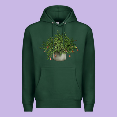 Dwarf Pomegranate Tree Illustrations Premium Hoodie Designed By Lillyallendesigns