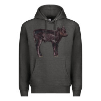 Charcoal Heather Black Angus Calf Illustrations Premium Hoodie - LillyAllenDesigns